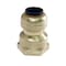 Apollo 1/2 in. Brass Push-to-Connect x 3/4 in. Female Pipe Thread Reducing Adapter FSBFA1234 - alternate 1
